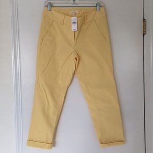 NWT Loft Yellow Chinos Size 2 / 26